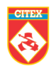 Лого на Citex